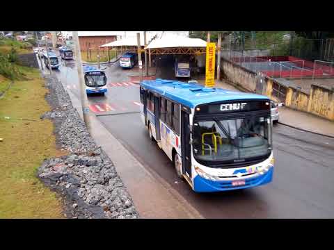 Movimentação de Caio Apache VIP II Moratense no Terminal Leste - Parte 5