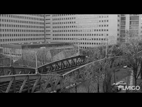 Rowee.nohan (out of reach)