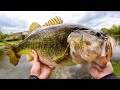 I Ve NEVER Seen This Many GIANT Bass In A POND Bank Fishing