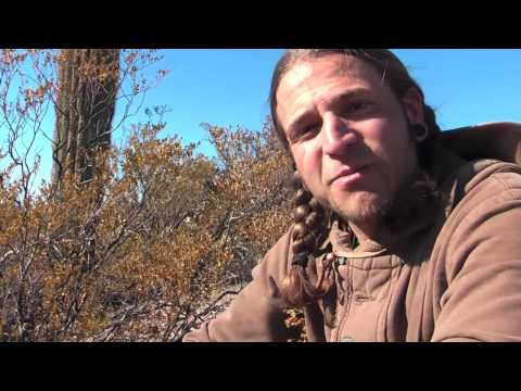 Daniel Vitalis ~ The Psychedelic Suguaro Cactus