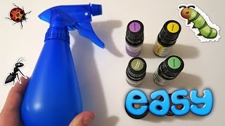 Spider Repellent Using Essential Oils - EASY