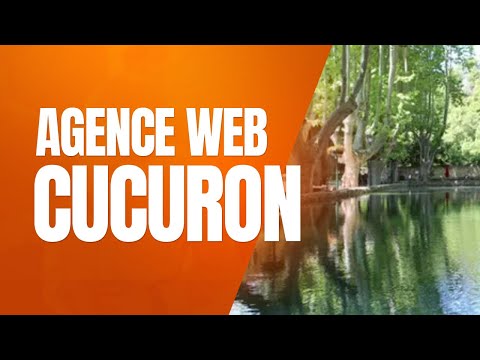Video vignette