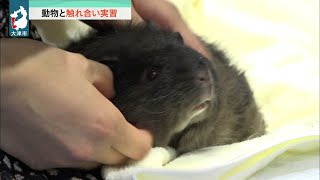 ７月13日 【びわ湖放送ニュース】