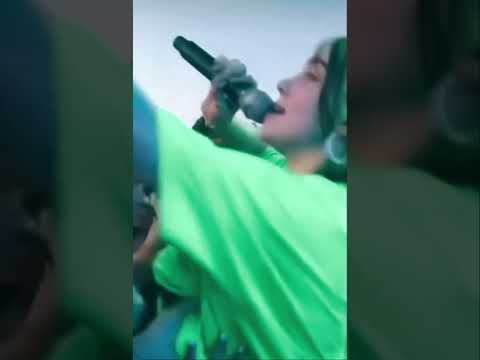 Fan touches Billie Eilish forbidden places