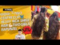 Wow Two Center Clip Heavy Thick Shiny Hair Two Girls Rapunzel