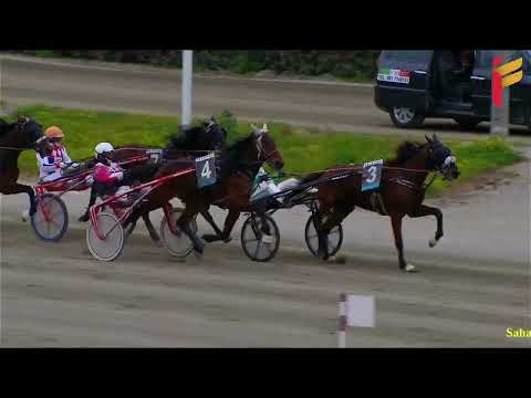 IV Corsa del 12 Marzo 2022 - 3 Anni - Metri 2000