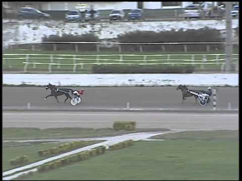 Trotto 04/12/2014 - prova di riqualifica