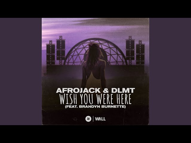 Afrojack & DLMT – Wish You Were Here feat. Brandyn Burnette (Remix Stems)