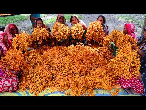 Local Date Transform Into Tasty Sweet - Unusual Food - Date Sweet Making By Village Women