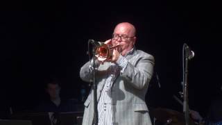"Serenade to a Bus Seat," UNH Jazz Band at the Montreux Jazz Festival, Switzerland