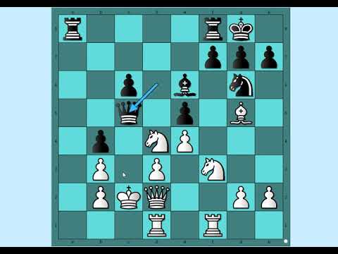 Neverovatni prosto neočekivani potezi i žrtve figura u šahu ~ SCHELFHOUT vs MAROCZY # 1396