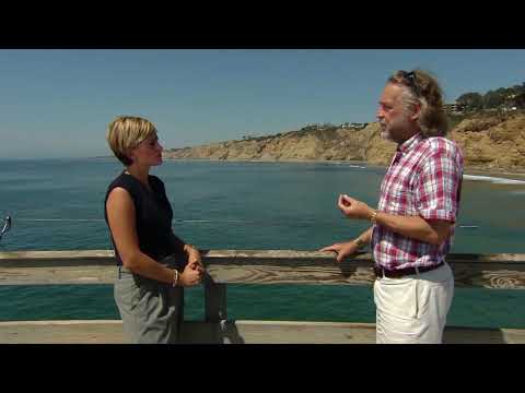 COTTO JRN 291 01 IN CLASS 1