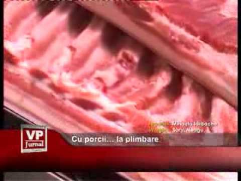 Cu porcii… la plimbare
