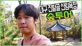 산림욕장 숲 여행 대구 진밭골 산림욕장 가을 투어~ - 팜스맨의 브이로그