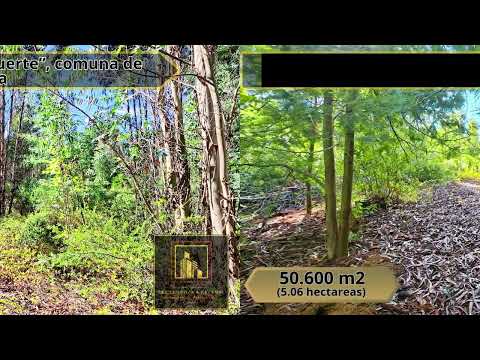 Terreno sector el fuerte, Santa Juana , Región del Bio Bio