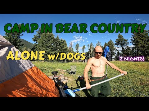 CAMPING ALONE in BEAR COUNTRY!