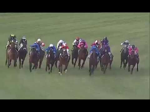 2016 SA DERBY - Howard Be Thy Name