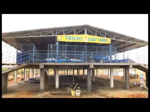 Trichy Goat Farm