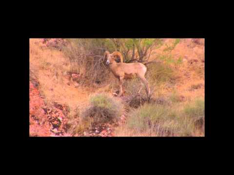 download lagu mp3 mp4 Grand Canyon Suite On The Trail, download lagu Grand Canyon Suite On The Trail gratis, unduh video klip Grand Canyon Suite On The Trail