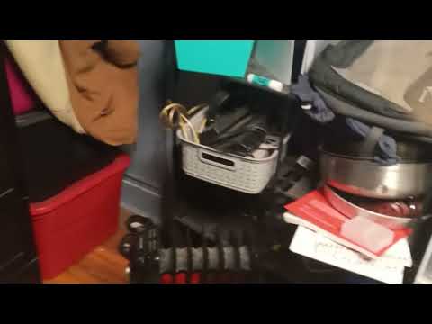 "OH YEAH ALL PUTTING DESPERATELY SEEKING SONIC EPISODE 58 2005 RIGHT NOW!!!" (2025)