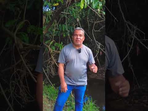 Chácaras de 20 mil m² com Água Corrente em Alexânia/GO