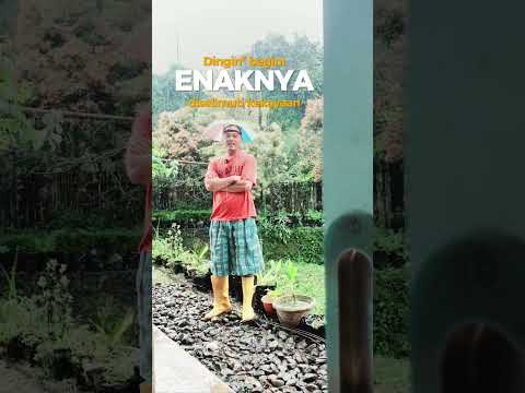 dingin-dingin-dimandiin