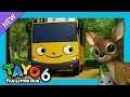 Tayo S6 EP16 An Amazing Picnic l Lani Find the missing l Tayo English Episodes l Tayo the Little Bus