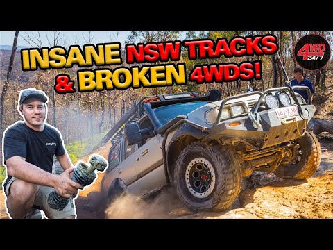 SHAUNO & GRAHAM vs. JOCKO – who broke the 200 Series? PLUS Hilarious cookup with Chef Shauno!