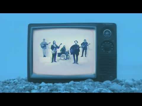 The Coral - Wild Bird (Official Video)