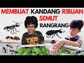 EXPERIMENT MENGENAL KEHIDUPAN KOLONI RIBUAN SEMUT RANGRANG