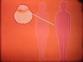 Canadian Sex Ed Development Of The Embryo 16mm 1976