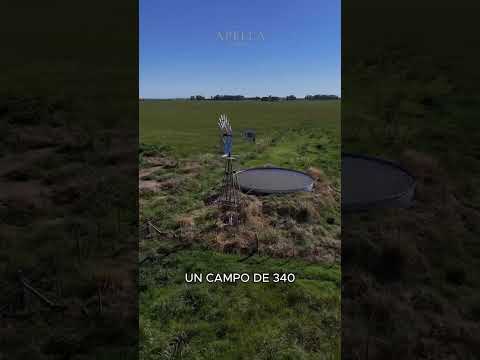 Campo ganadero de 340 ha en Navarro | Casa de 1890 | Apella Campos