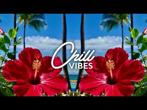 DR STEEVE x TENI - WONDER WHY (ARO STYLE REMIX) 2021