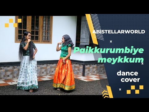 Paikurumbiye Meykkum Dance  Cover | abisstellarworld | Abishna and Abishma.
