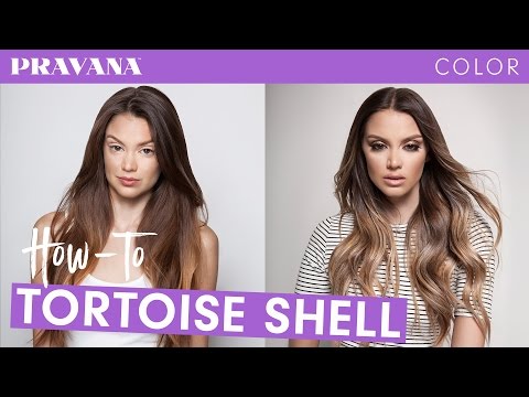 download lagu mp3 mp4 Blonde Tortoise Shell, download lagu Blonde Tortoise Shell gratis, unduh video klip Blonde Tortoise Shell