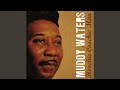 Sugar Sweet - Muddy Waters - Topic Sugar Sweet