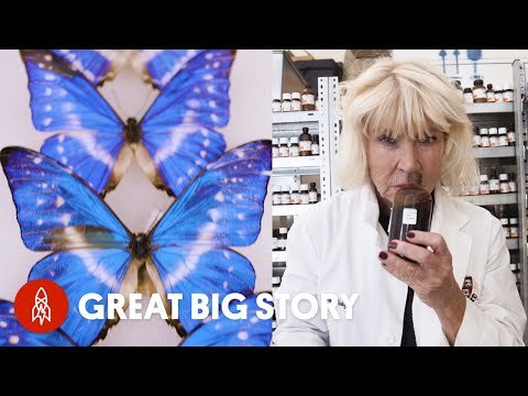 一些世界上最大的（和最不尋常的）收藏。 (Some of the World’s Largest (and Most Unusual) Collections)