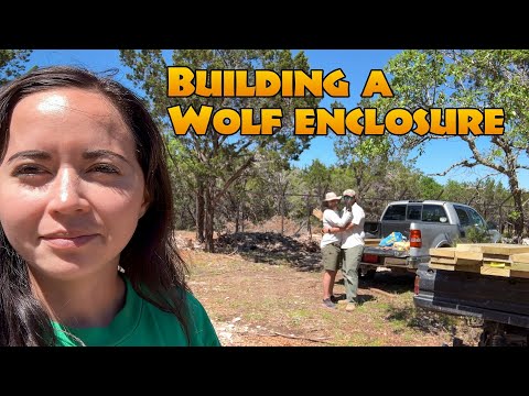 Building A Wolf Enclosure | Part 2
