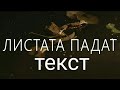 Mihaela Marinova feat Pavell amp Venci Ve Mihaela Marinova feat Pavell amp Venci Ve