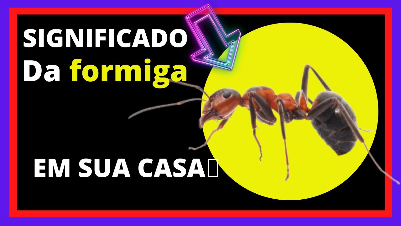 Watch Now presságio da formiga -Qual o significado espiritual da formiga presságio da formiga -Qual o significado espiritual da formiga