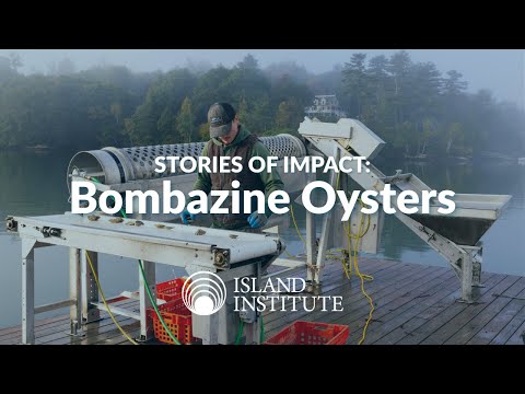 Stories of Impact: Bombazine Oysters