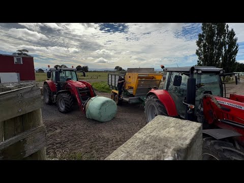 Getting Ready For Maize, Still Feeding Silage and PKE