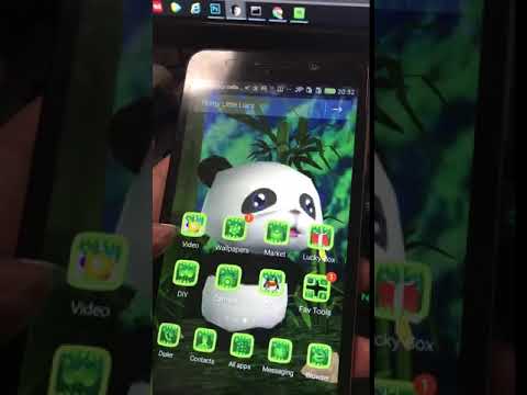 3D Panda Theme With Natural Bamboo Wallpaper Video