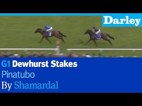 Pinatubo by Shamardal wins the G1 Dewhurst Stakes at Newmarket
