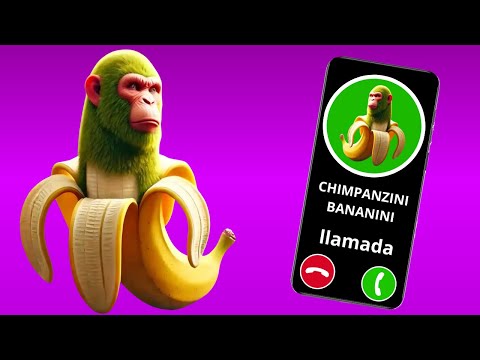 LLAMADA DE CHIMPANZINI BANANINI | QUIERE JUGAR CONTIGO!