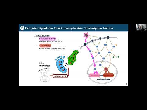 Integrating prior knowledge and single-cell... - Julio Saez-Rodriguez - RegSys - Keynote - ISMB 2022
