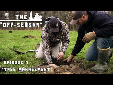 The "Off-Season" | Episode 7 | Tree Management