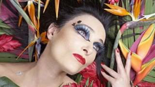 Siouxsie and the Banshees-Little Sister (Fan Video)