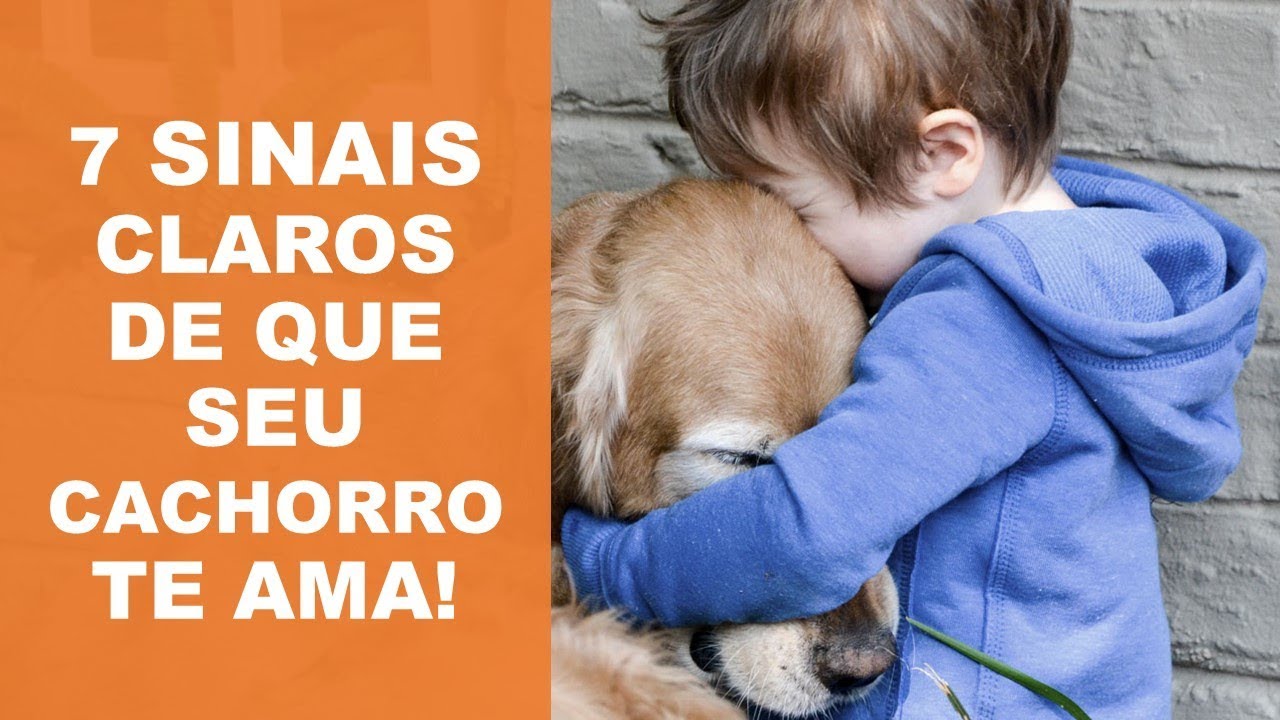 7 SINAIS CLARO DE QUE SEU CACHORRO TE AMA E MUITO