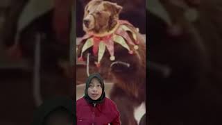 Download lagu THE ORIGINAL STORY OF MASHA AND THE BEAR #viral #truestory #mashaandthebear #origin #shortvideo #... mp3 Download lagu THE ORIGINAL STORY OF MASHA AND THE BEAR #viral #truestory #mashaandthebear #origin #shortvideo #... mp3